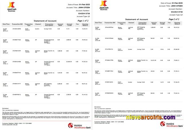 Pakistan Mobilink Microfinance Bank statement of account Word and PDF, 2 pages